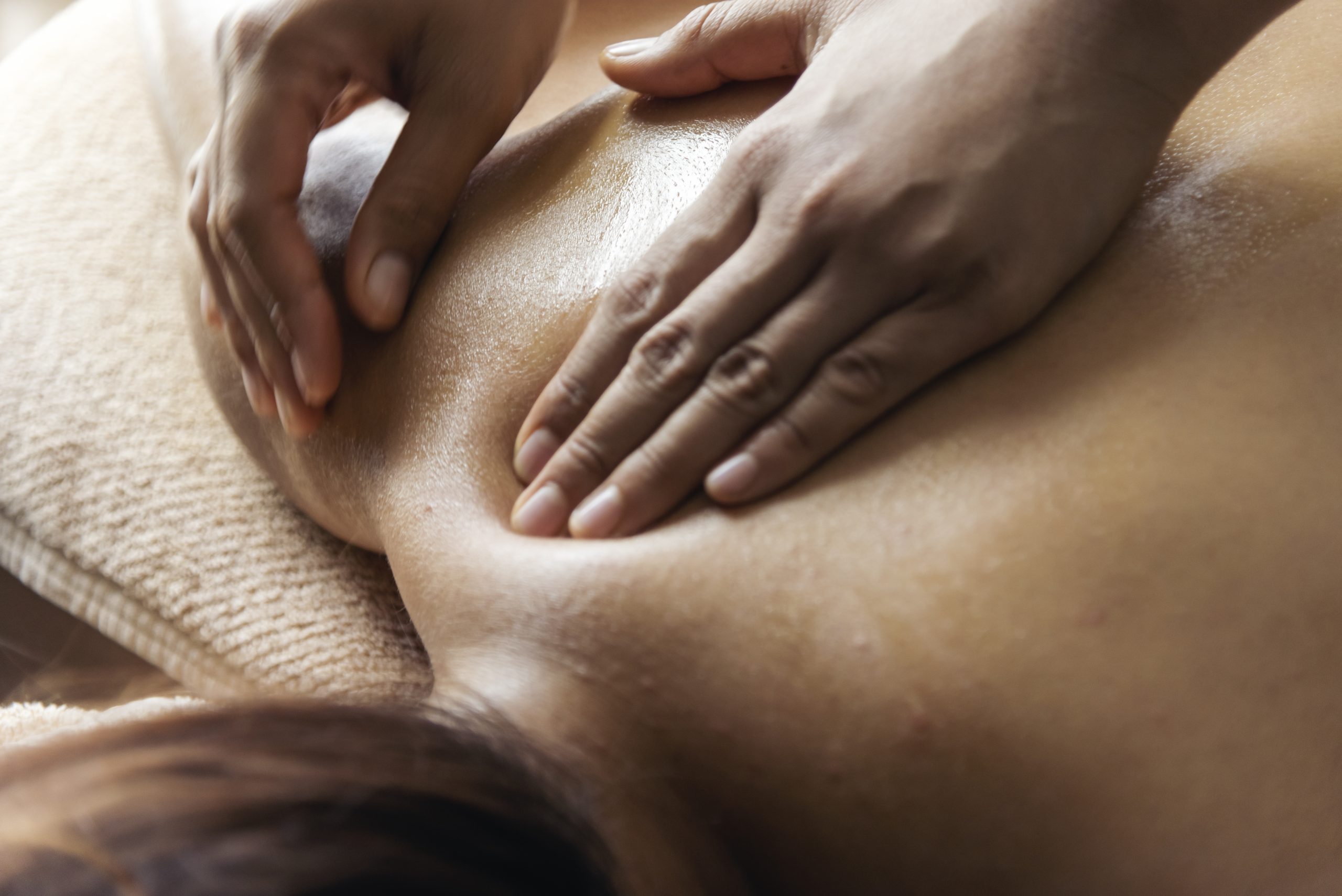 Massage Therapy and Wellness Services Near Clearwater, FL<br />

