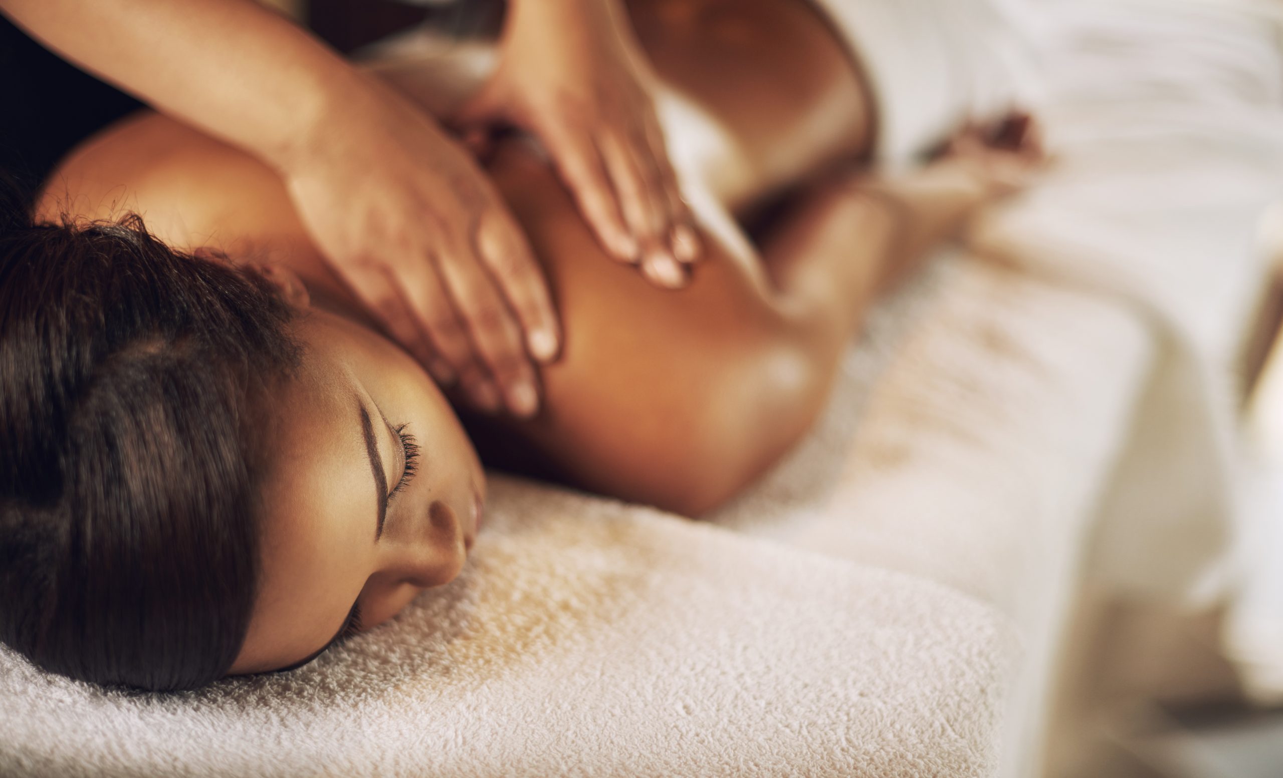 Massage Therapy and Wellness Services Near Palm Harbor, FL<br />
