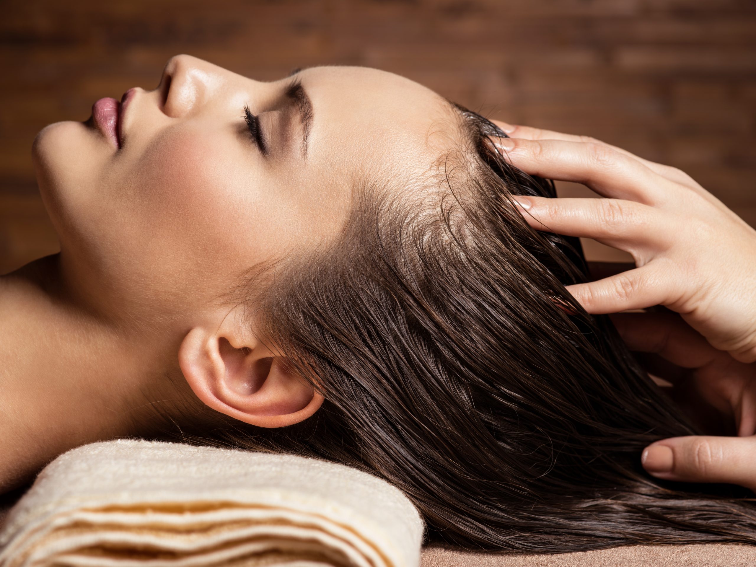 Massage Therapy and Wellness Services Near Palm Harbor, FL<br />
