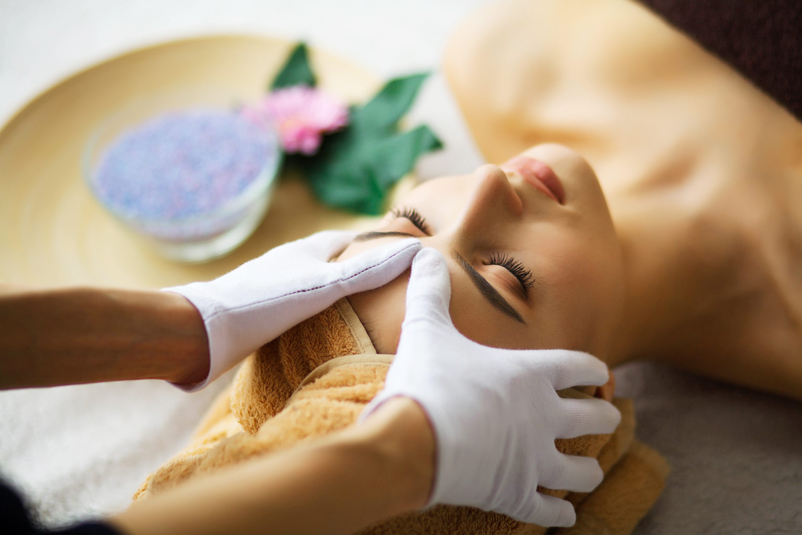 Massage Therapy and Wellness Services Near Clearwater, FL<br />
